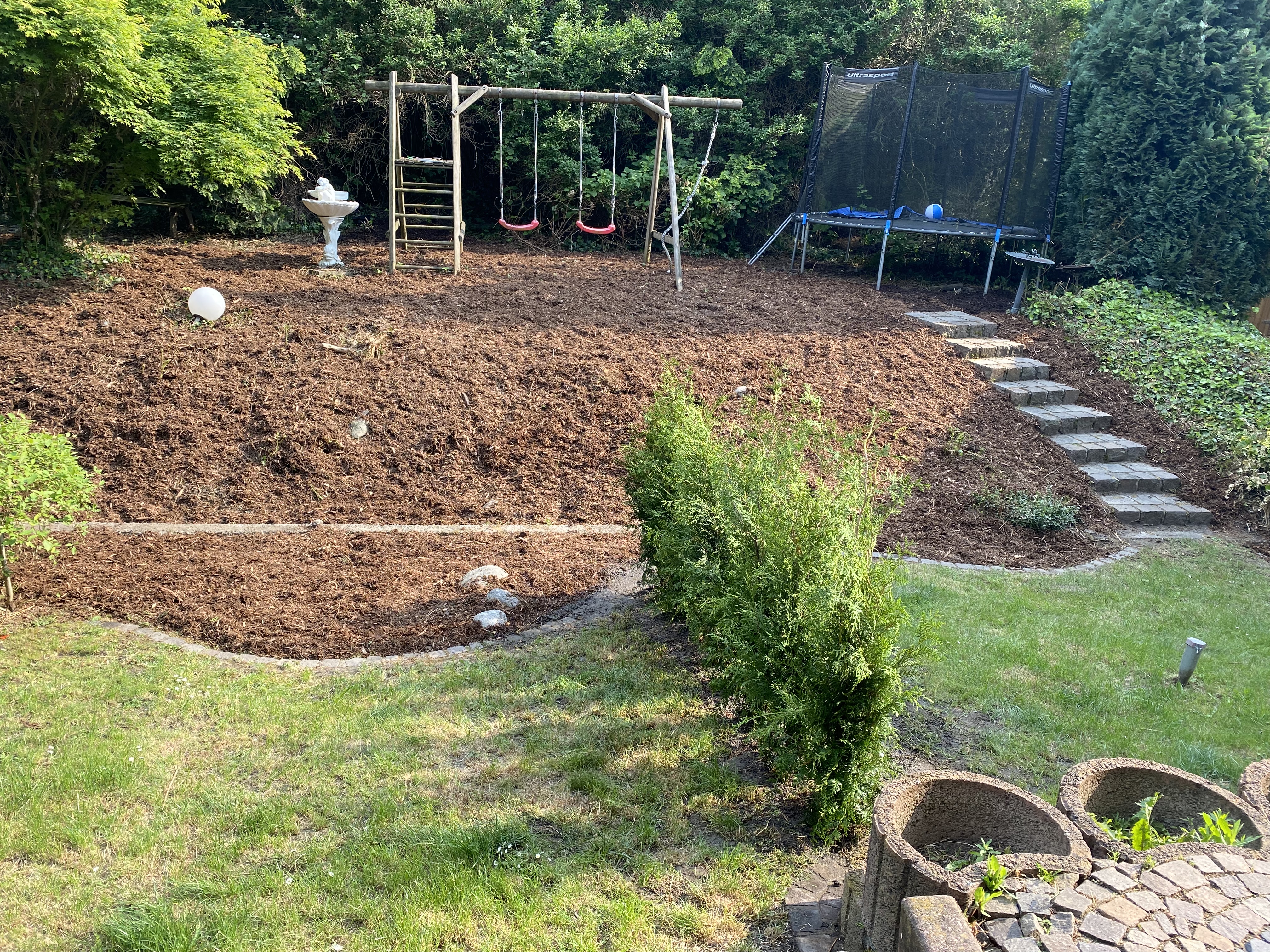 Frisch gemähter und gepflegter Rasen im Garten