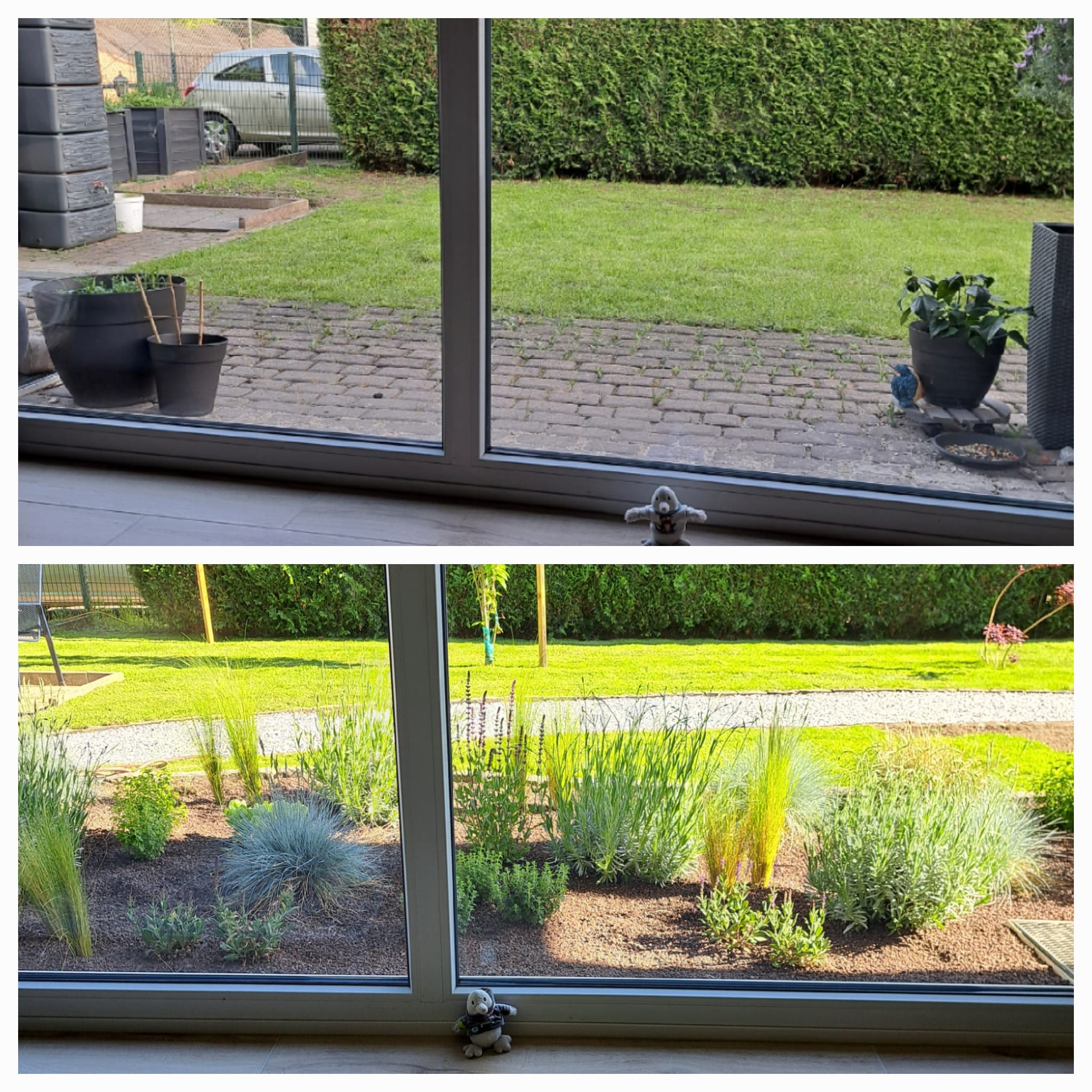 Gartenbepflanzung mit Stauden und Blumenbeet